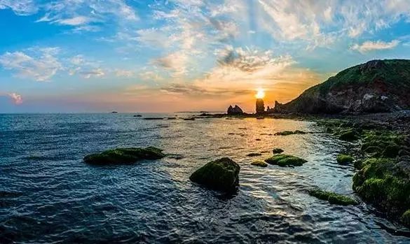 最新黄金岛的温馨日常探索