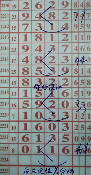 你好湛江，最新规律解读