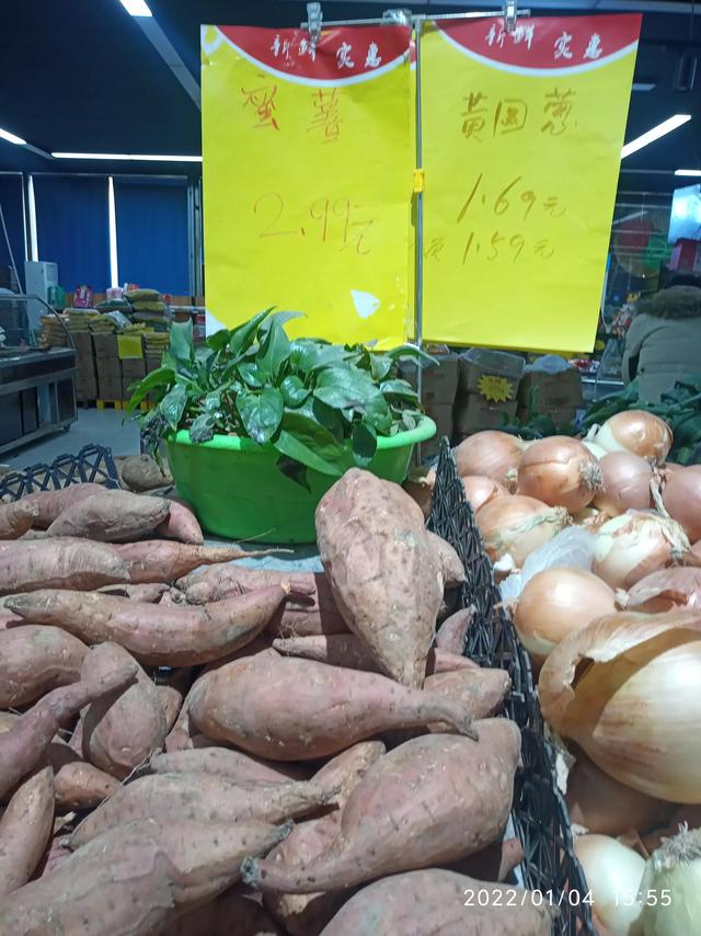 最新地瓜价格解析，查询指南与任务攻略