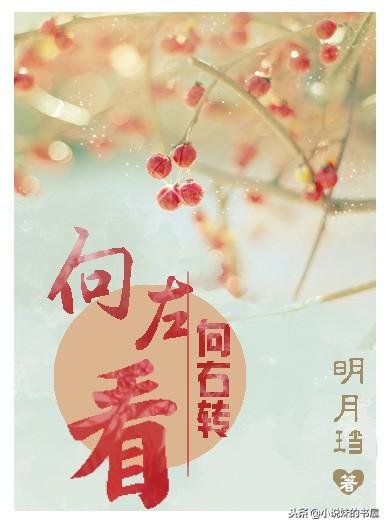 明月铛最新小说，时代之光下的巨献