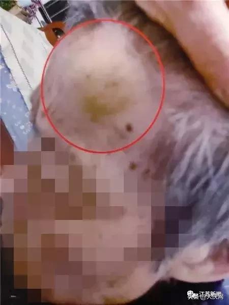 揪脖子最新视频，探秘小巷风情小店，独家揭秘！
