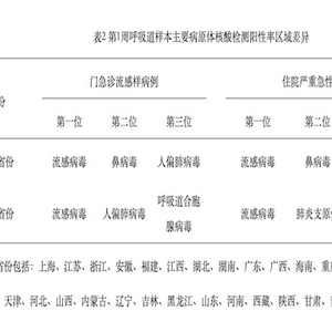 关于2025最新感冒病毒,一种观点的探讨与分析