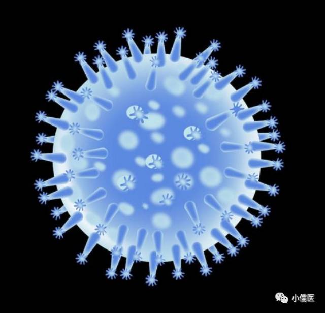 关于2025最新感冒病毒,一种观点的探讨与分析