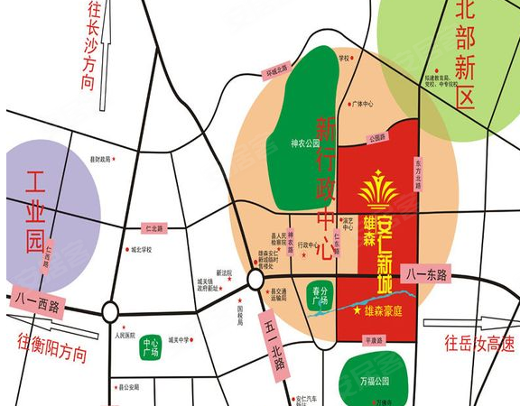 安仁雄森最新动态揭秘，小巷中的隐藏宝藏！