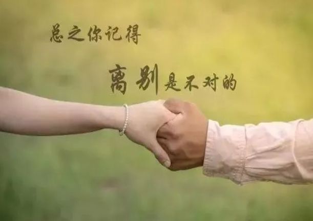 科技新品领略之旅，智能生活的前所未有体验