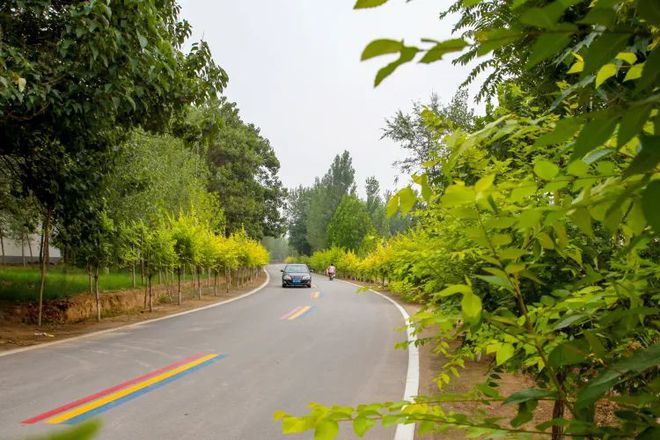 邢台公路最新规划,驶向未来的道路励志之旅