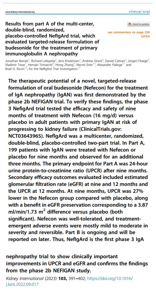 IGA肾病最新突破，医学奇迹在小店中绽放的独特魅力