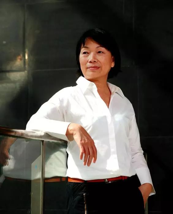 龙应台最新作品,现代社会的文化反思与人性探索之旅