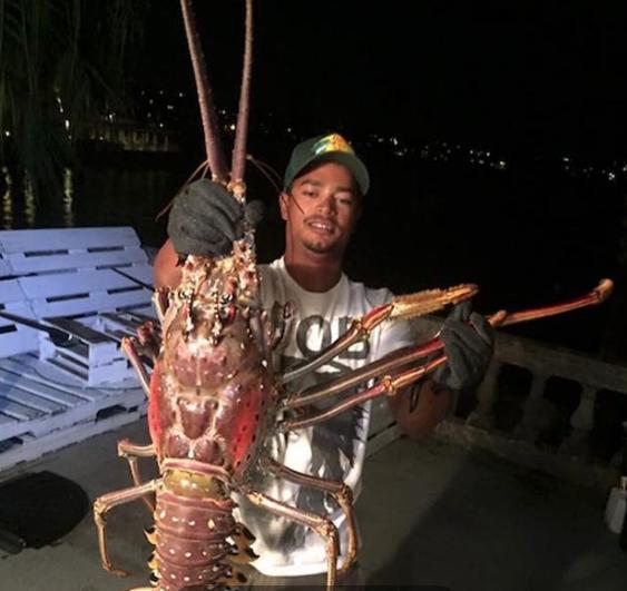 最新捕鱼下分攻略，详细步骤指南