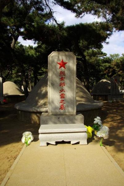 最新墓地图片与小径特色小店,探寻安宁之地的独特韵味