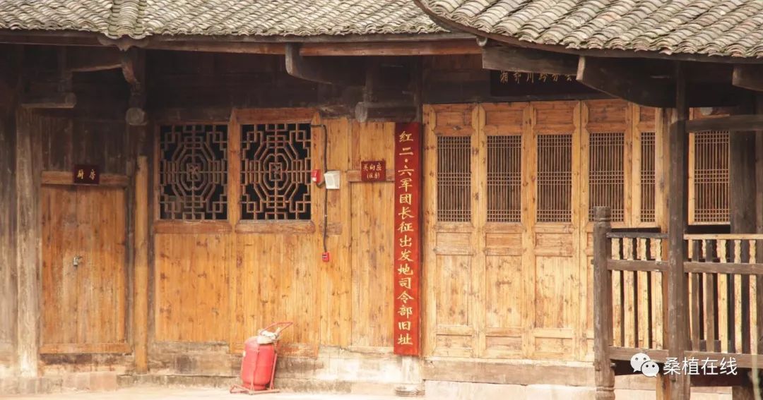 未来引领者,2025年三大要点,坚定前行,狠狠干