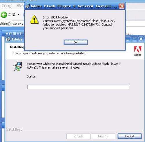最新版Flash安装与使用步骤指南,从安装到使用,轻松上手!