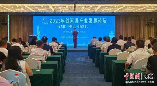 剑河最新新闻综述,观点论述与综合分析