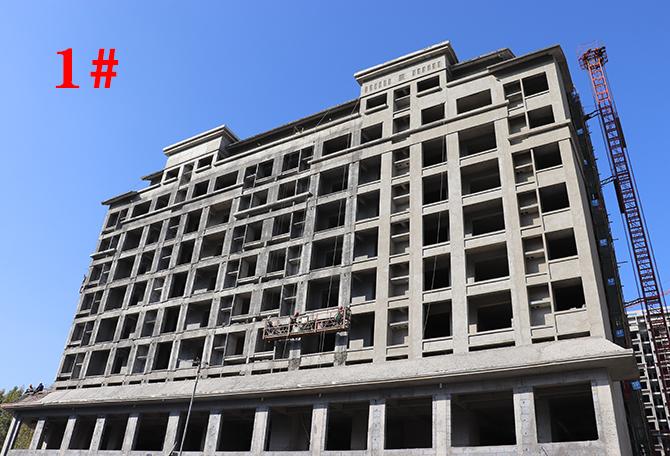 平舆最新楼盘市场现状与前景展望，深度解析市场趋势与发展前景展望