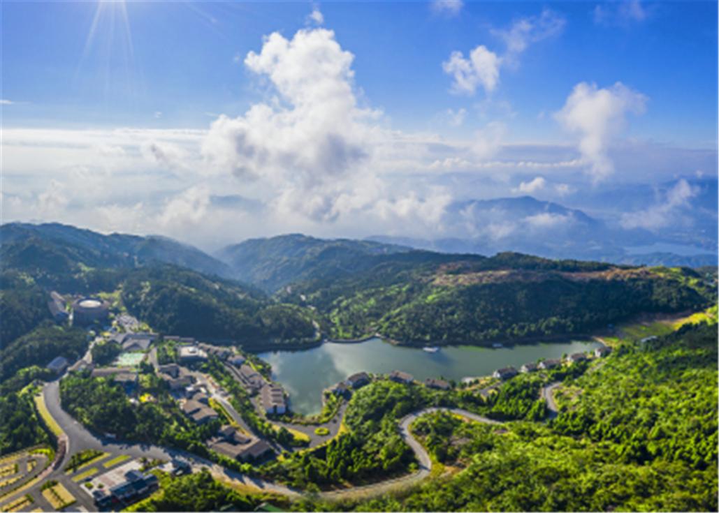 苍南最新动态,变化中的力量,学习铸就自信与成就