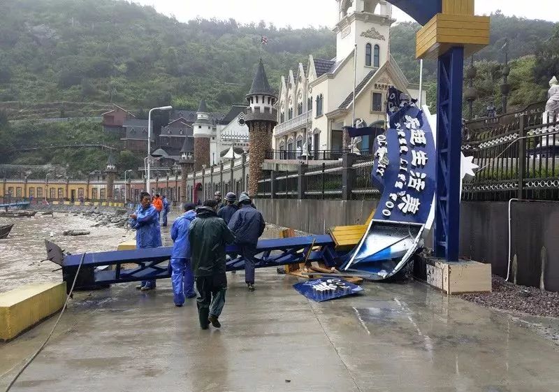 金乡最新事件揭秘