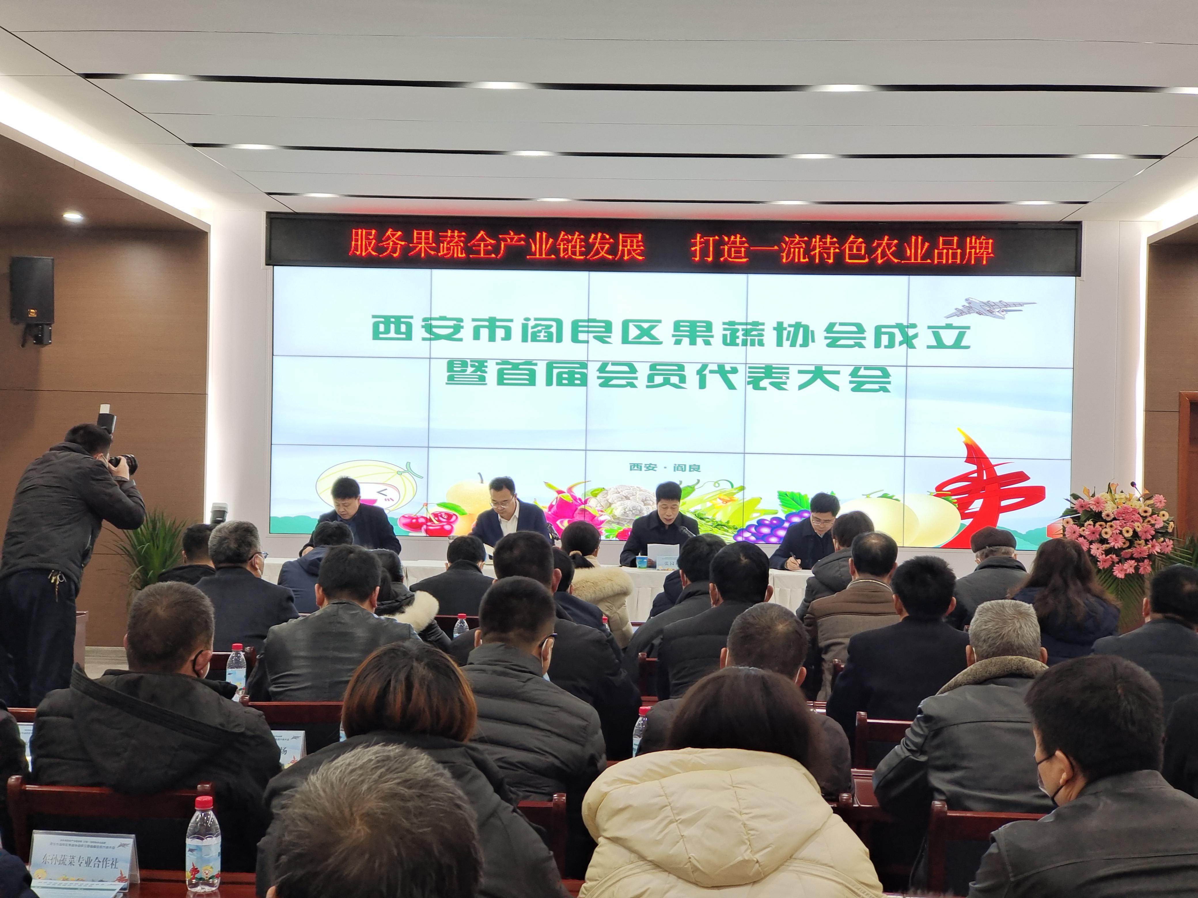 阎良新闻最新动态，学习之光照亮未来，自信与成就感并行增长