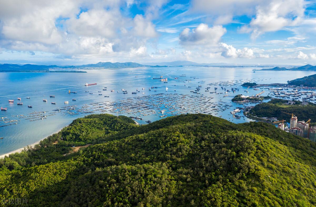 阳江最新楼价走势,楼市动态与市场深度洞察