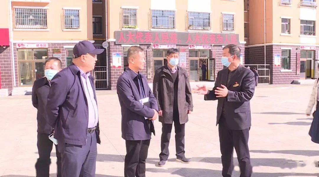 勃利最新新闻,城市中的温馨日常与友情故事报道