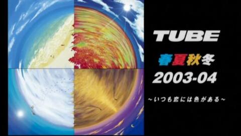 Tube03最新动态，探索要点、趋势与发展