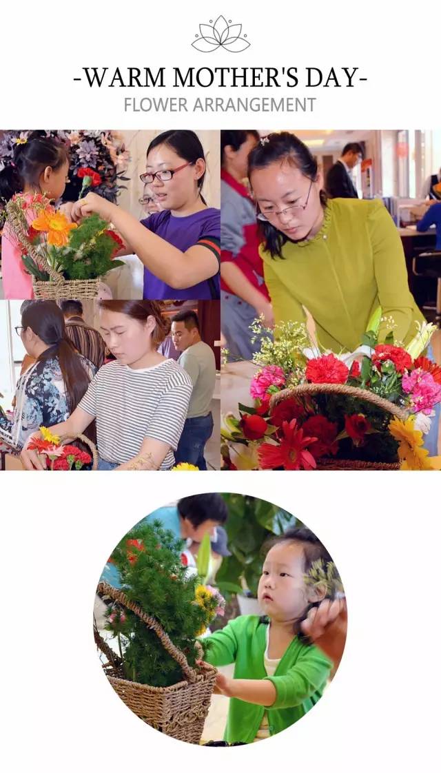 名城天下最新动态,探索自然美景之旅,寻找内心平和之地