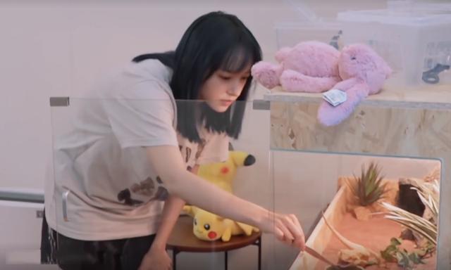 程潇最新综艺节目，心动瞬间，不容错过！✨