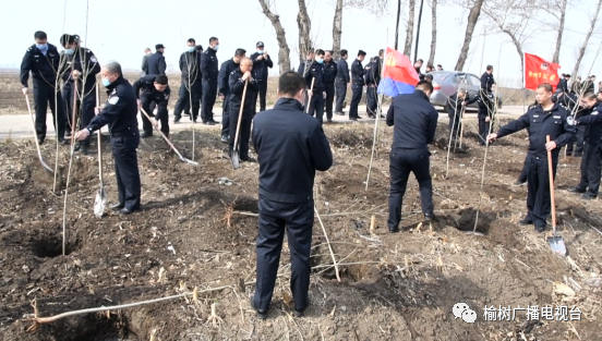 榆树最新资讯更新,榆树新闻动态速递