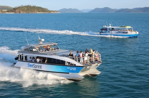 时代背景下的璀璨星辰,最新号号天堂综述