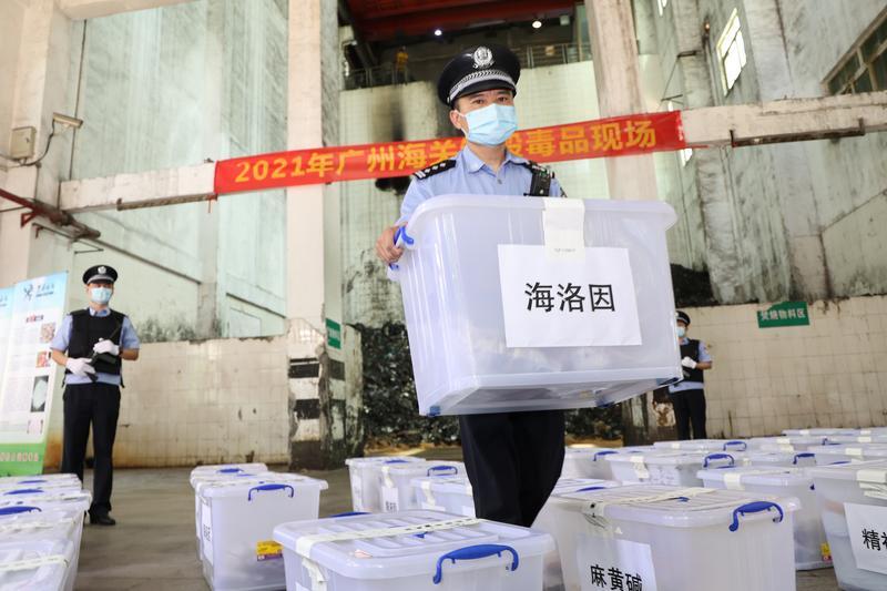 深圳最新区域,创新热土,蓬勃发展