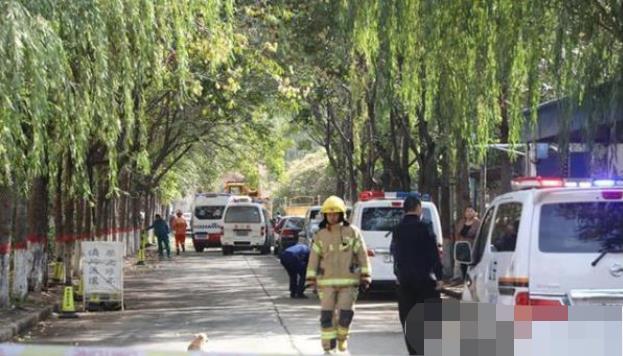 安阳最新事件,温馨日常与不期而遇的友情之旅