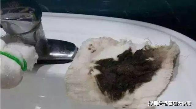 揭秘水污染真相，小杰的河流探索之旅——温馨河流的秘密揭秘视频