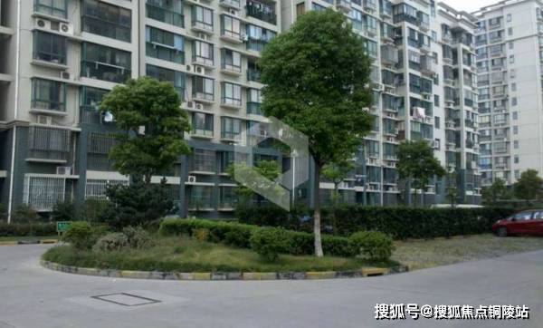 南皮售楼信息更新及市场现状与前景分析