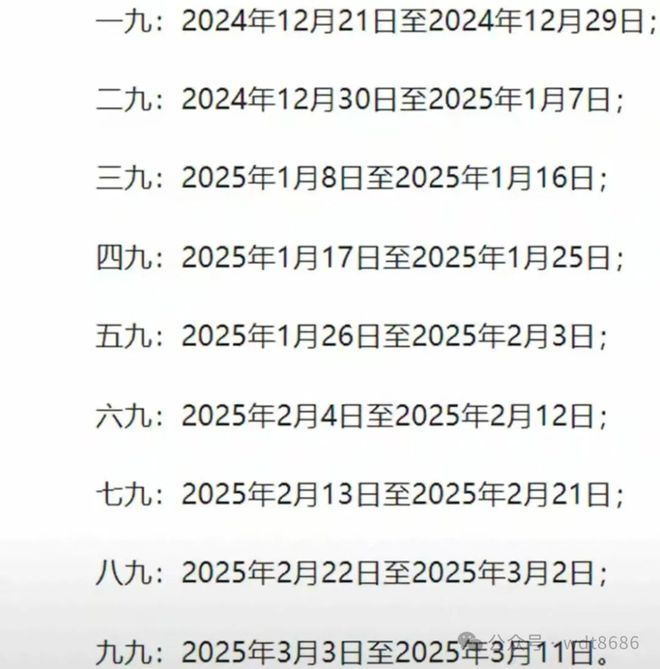 最新久久网2025，友情小船与温馨日常的交织