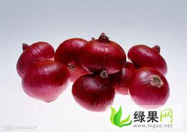 🌟洋葱今日市场最新价格🌟