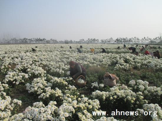 界首最新新闻，学习变革的力量，自信与成就感的融合之路