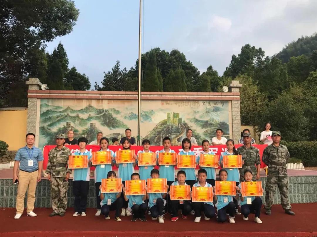 科技、社会与经济热点话题的最新新闻摘要探讨