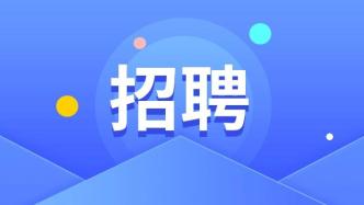 海淀最新招聘动态解析及招聘信息概览