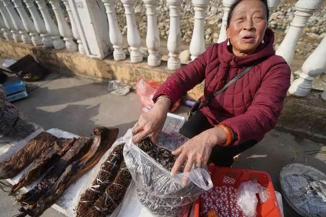 小葱价格最新行情及分析报告