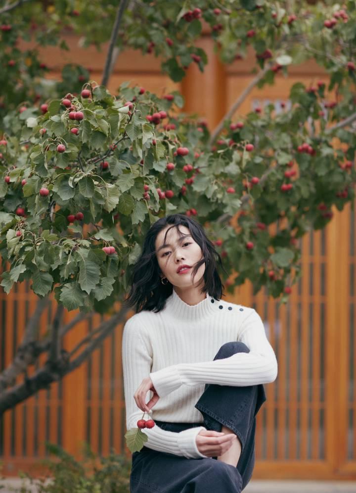 刘雯最新壁纸,时尚魅力的完美展现