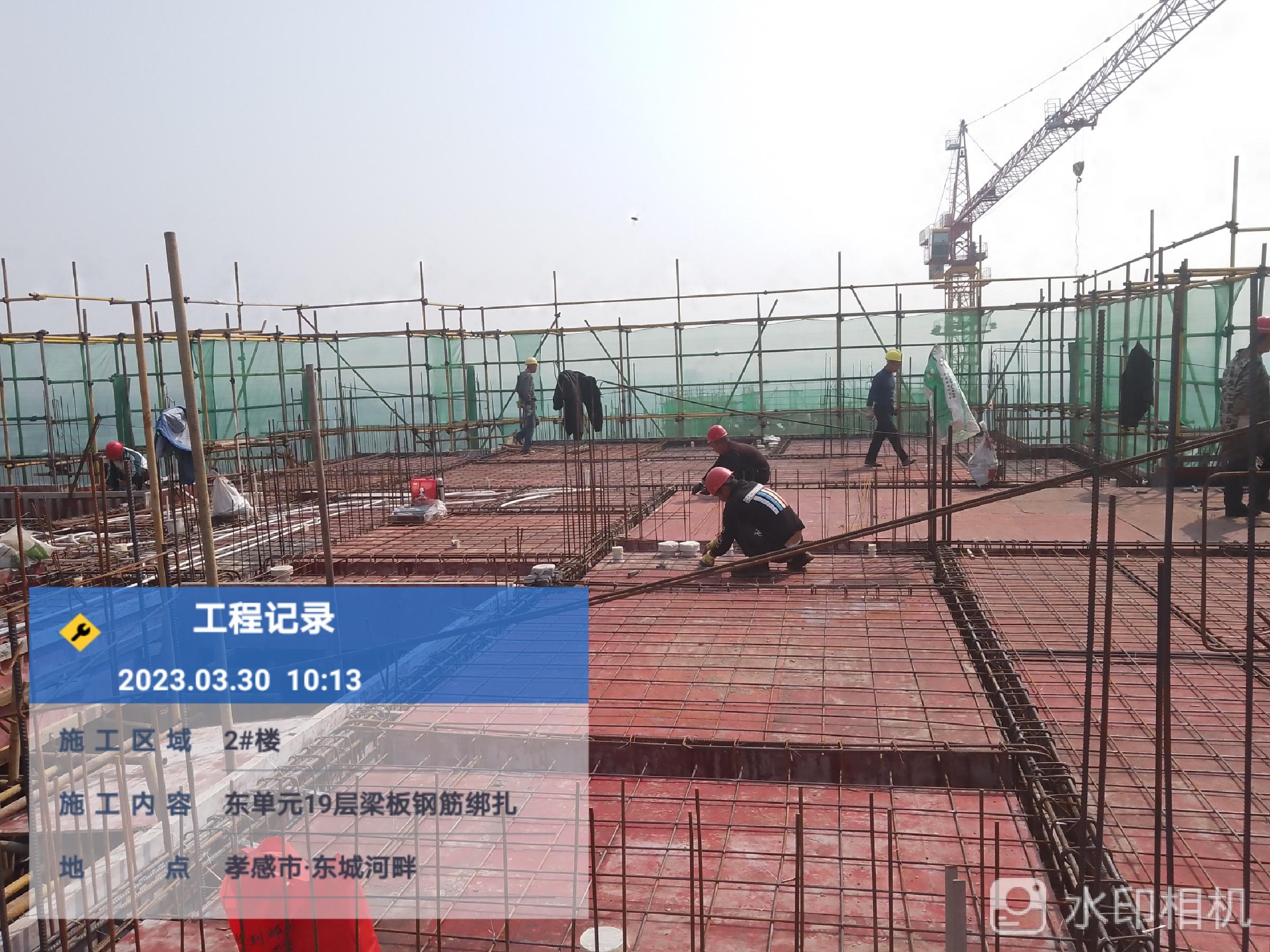 孝感东城焕新颜，科技引领未来发展规划