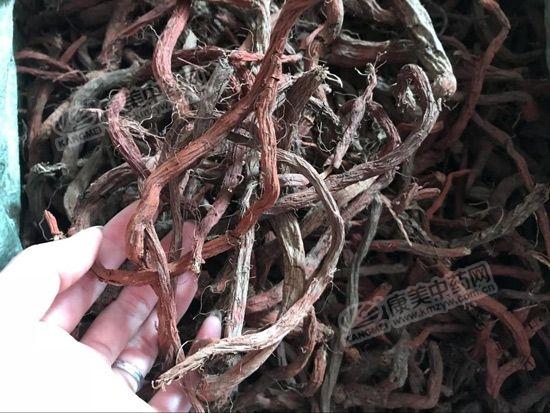 亳州丹参最新价格,市场走势及选购指南全解析