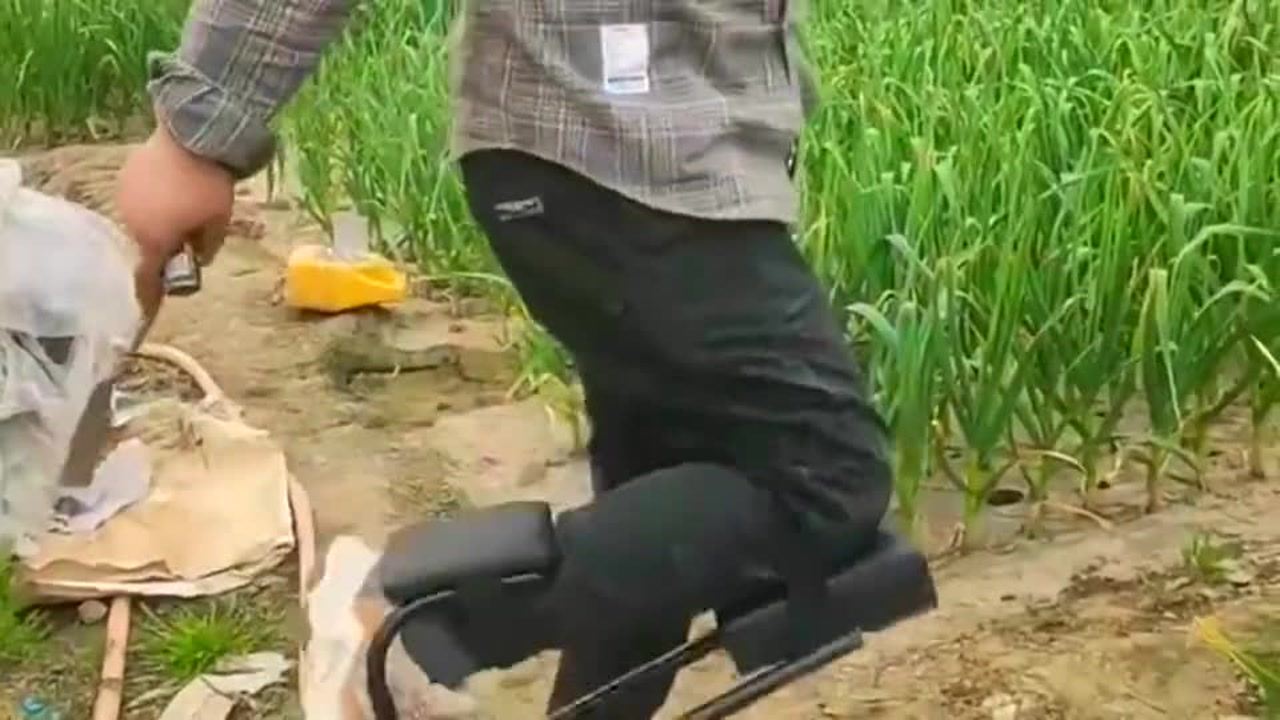 最新挖蒜工具，心灵与自然的完美交融