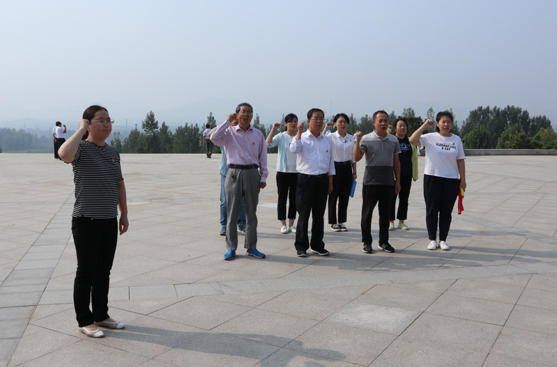 肥城房产最新动态，市场走势、热门区域与案例分析