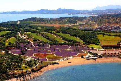 心悦海岛探险攻略，最新任务指南与探险体验