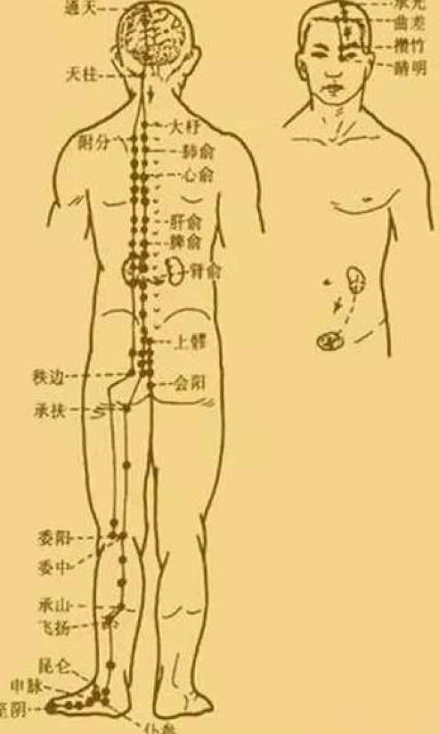 最新经络操，探索古老奥秘，重塑健康身姿