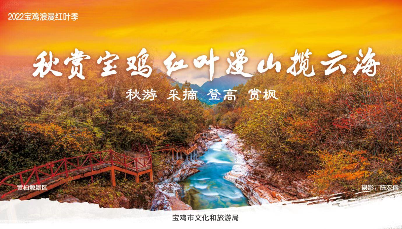 宝鸡最新钓鱼胜地探索🎣💦