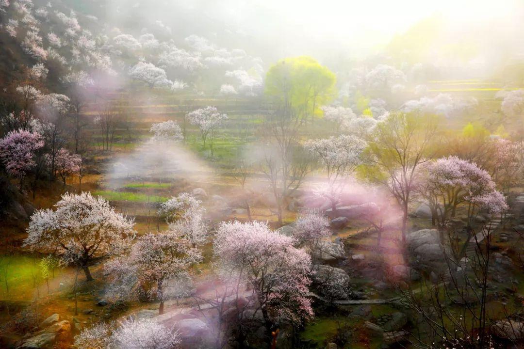 最新赞皇动态解读,聚焦要点,掌握赞皇最新动态