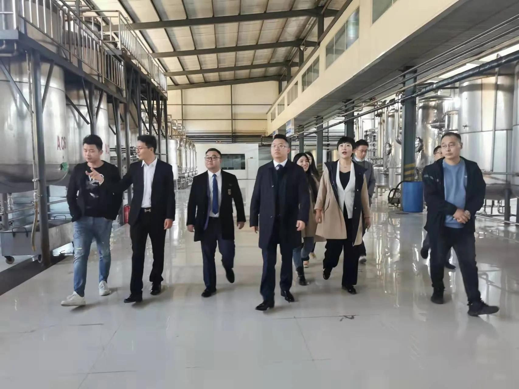 鼎恒升最新动态，追溯特定领域的发展历程与重要地位