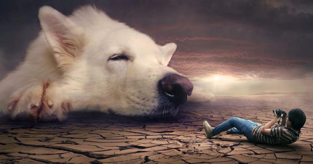 梦境最新研究揭秘，探索人类梦境的奥秘