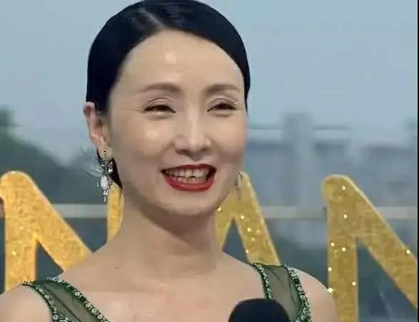 陶虹最新形象变迁,公众视线下的交织焦点